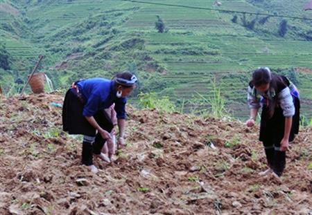 Một thoáng Trung Lèng Hồ