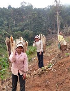 Pom Loi - Một thủa buồn vui