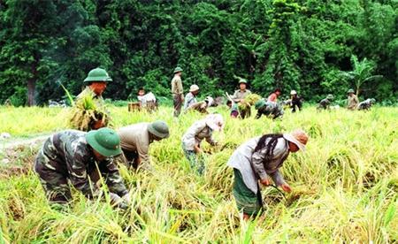“Vững dạ” trước mùa mưa bão
