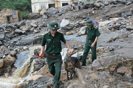 Tăng cường chó nghiệp vụ tìm kiếm những người mất tích tại thôn Can Hồ A
