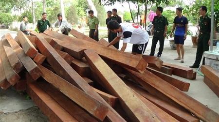 Bắt giữ vụ vận chuyển gỗ lậu với số lượng lớn