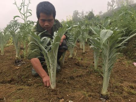 Vươn lên thoát nghèo từ hai bàn tay trắng