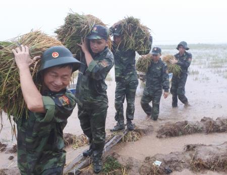 Giọt mồ hôi mặn mòi rơi trong mưa lũ