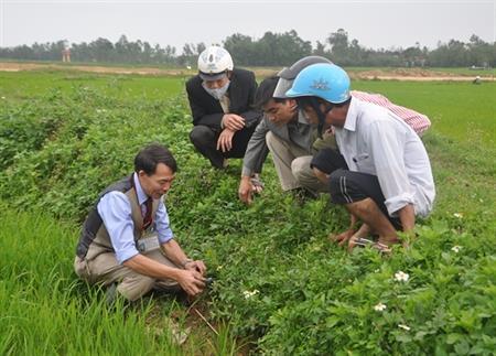 "Chuyện nhỏ" về Đồn trưởng Chánh