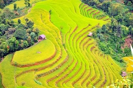Phát động cuộc thi phóng sự ảnh báo chí toàn quốc với chủ đề “Việt Nam - đất nước, con người”