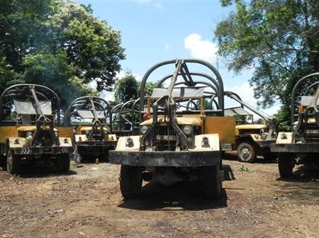 Bắt 6 phương tiện vận chuyển trái phép hơn 4,3 m3 gỗ