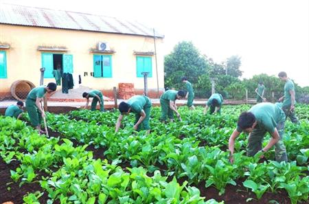 BĐBP Gia Lai thu trên 10 tỷ đồng từ tăng gia sản xuất