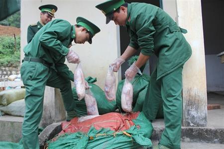 Đồn BP CKQT Lào Cai bắt giữ gần 500kg vịt đông lạnh