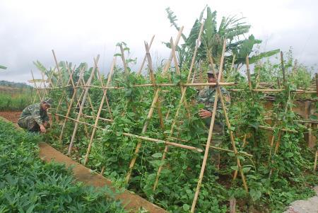 Bảo đảm công tác hậu cần ở BĐBP Kon Tum