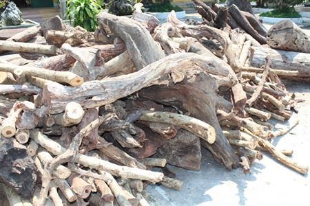 3 đối tượng người Trung Quốc vào khu vực biên giới mua trái phép lâm sản