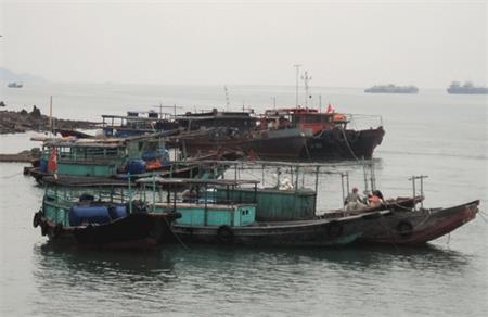 Cho mãi vùng biển sáng