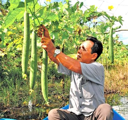 Đời sống đồng bào Khmer đổi thay nhờ chính sách dân tộc