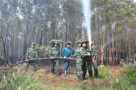 Kịp thời triển khai lực lượng cứu hỏa cho rừng tràm tại Long An
