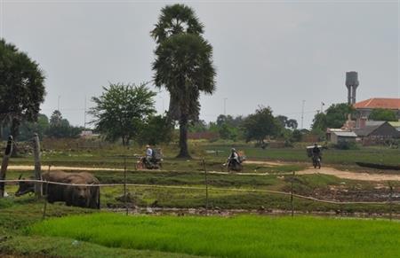 Trên đất nước Ăng-co tươi đẹp