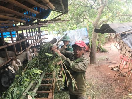 Việc làm nhỏ, ý nghĩa lớn