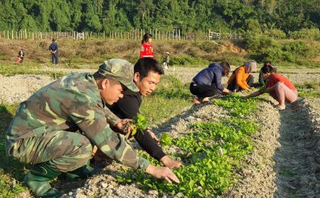 Cùng đồng bào xuống đồng vụ ba