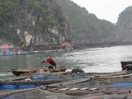 Ưu tiên hỗ trợ nhóm dân số dễ bị tổn thương