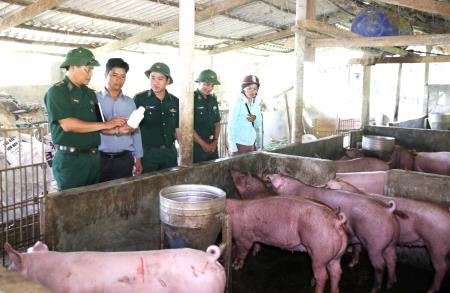 A Lưới nỗ lực ngăn chặn dịch tả lợn châu Phi