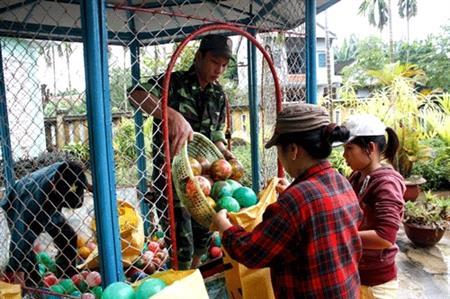 Tình người sau cơn lũ