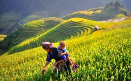Xếp hạng 7 di tích quốc gia đặc biệt