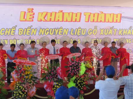 Thêm cơ hội cho nông dân trồng rừng Phú Yên