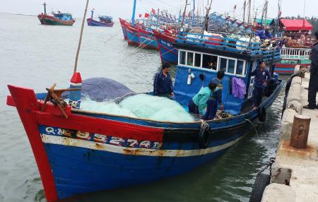 Cứu nạn 12 ngư dân bị chìm tàu trên vùng biển Hoàng Sa