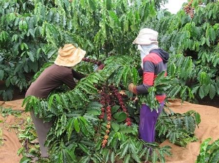 Thực trạng và giải pháp