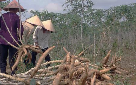 Khi già làng "xắn tay" xây dựng nông thôn mới