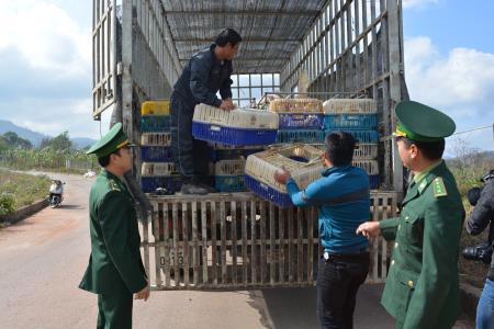BĐBP Quảng Trị triển khai kế hoạch chống buôn lậu năm 2016