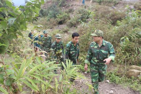 Tuần tra giữa ngày xuân