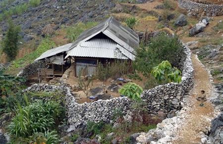 Tiềm năng của... đá