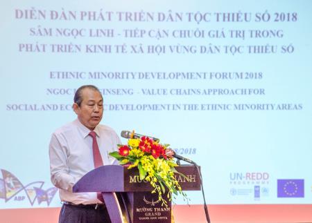 Nghiên cứu di thực cây sâm Ngọc Linh, góp phần xóa đói giảm nghèo