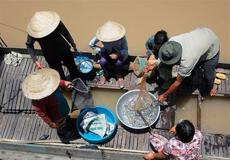 Rộn ràng mùa mắm