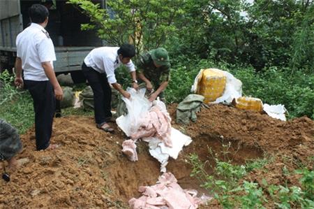 Lạng Sơn: Đồn BPCK Hữu Nghị bắt vụ vận chuyển trái phép thịt động vật qua biên giới với số lượng lớn