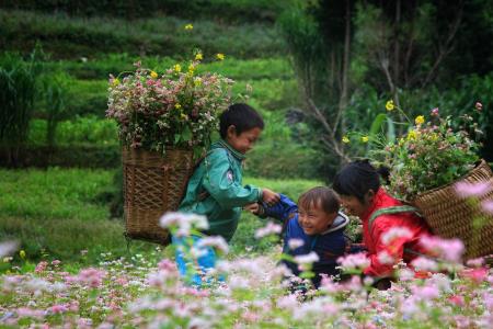 "Cây du lịch" nơi địa đầu Tổ quốc