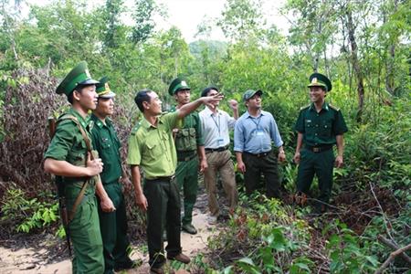 Giữ mãi màu xanh của rừng