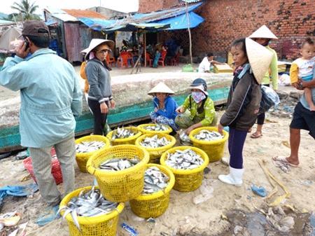 Thiệt thòi nghề đánh bắt gần bờ