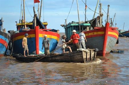 Cần những giải pháp căn cơ
