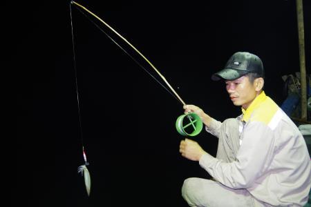Câu mực cùng ngư dân trên biển