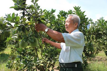 Cựu thanh niên xung phong làm kinh tế giỏi