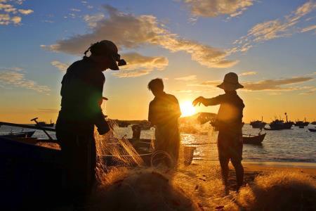 Hừng đông trên làng chài Phước Đồng