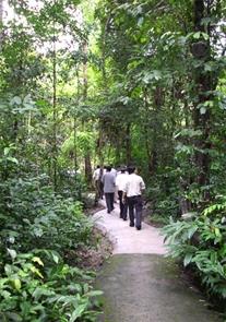 Về lại cội nguồn
