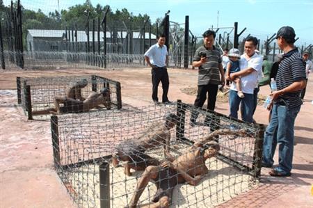 Chứng tích tội ác Mỹ - ngụy một thời