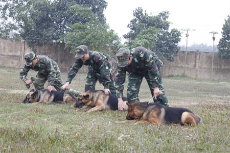 Ghi dấu những "chiến binh thầm lặng"