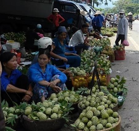 Cổ tích trên núi đá