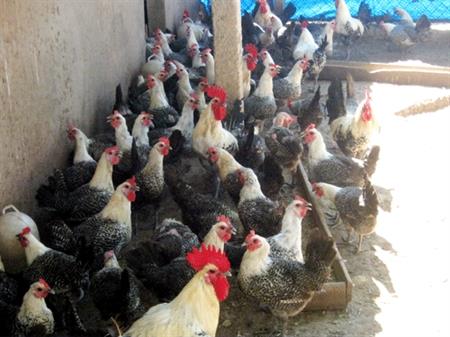 "Biến không thành có, biến khó thành dễ"