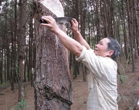 Làm thế nào để phát huy được vai trò của người cao tuổi ?