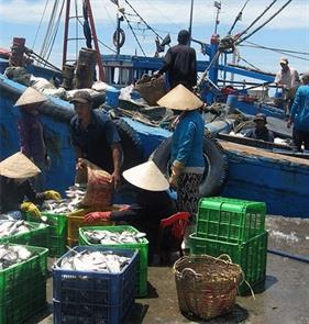 Mũi Né - Bao giờ mới có tàu cá vỏ sắt