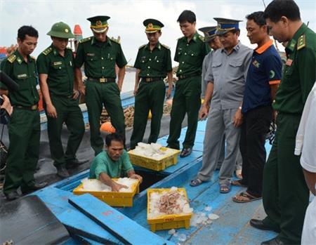 Bắt 4 tàu cá Quảng Ngãi đánh bắt sai ngư trường