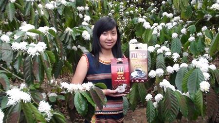 Vị đắng của sự thuần khiết
